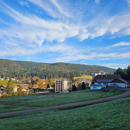 Ferienwohnung Tannenballett Im Schwarzwald Baiersbronn Exteriör bild