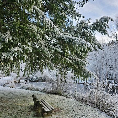 Ferienwohnung Tannenballett Im Schwarzwald Baiersbronn Exteriör bild