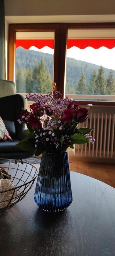 Ferienwohnung Tannenballett Im Schwarzwald Baiersbronn Exteriör bild