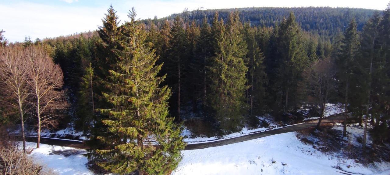 Ferienwohnung Tannenballett Im Schwarzwald Baiersbronn Exteriör bild