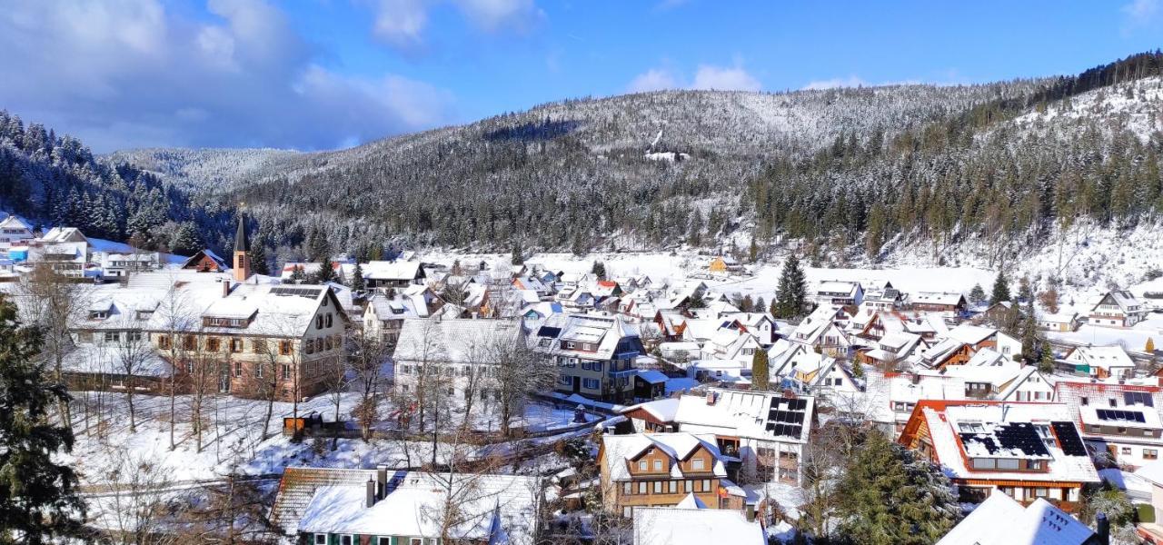 Ferienwohnung Tannenballett Im Schwarzwald Baiersbronn Exteriör bild