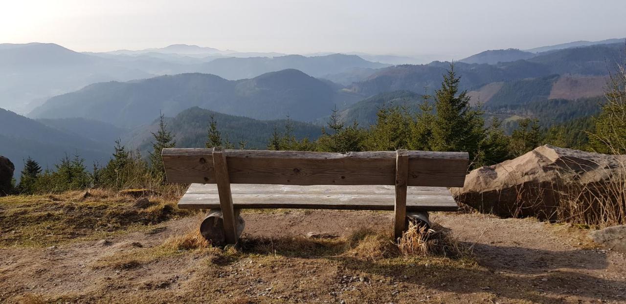 Ferienwohnung Tannenballett Im Schwarzwald Baiersbronn Exteriör bild
