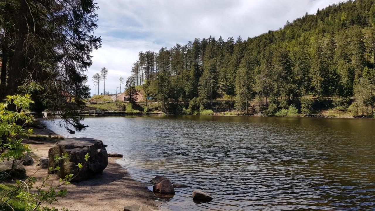 Ferienwohnung Tannenballett Im Schwarzwald Baiersbronn Exteriör bild