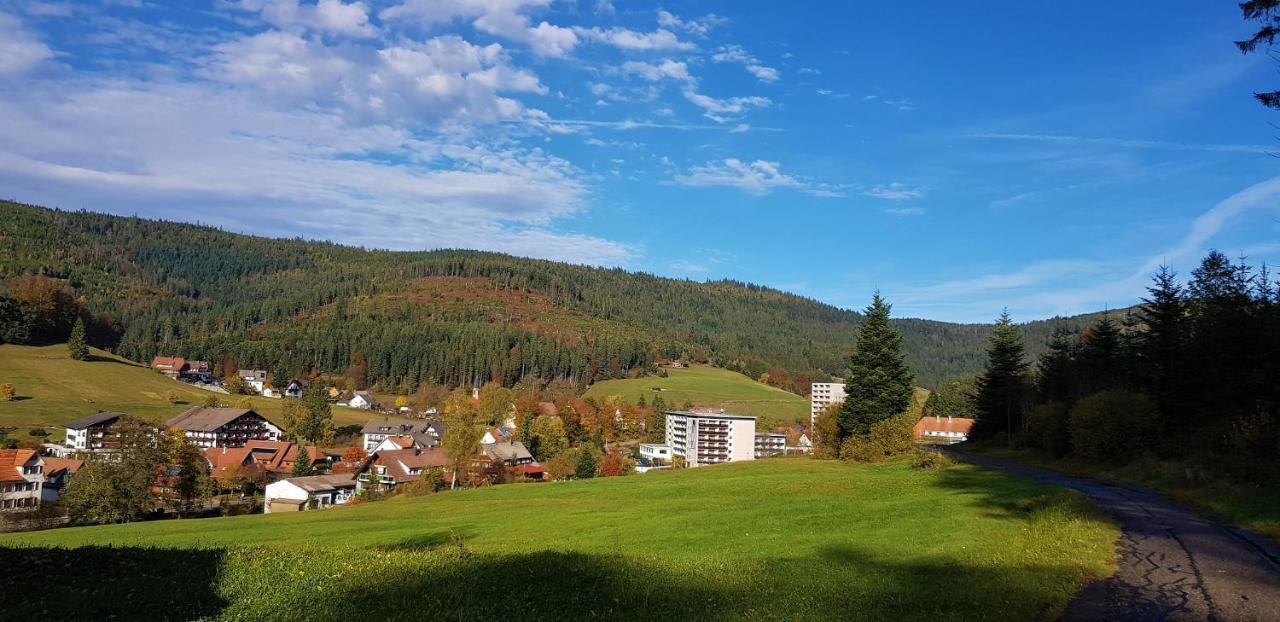 Ferienwohnung Tannenballett Im Schwarzwald Baiersbronn Exteriör bild