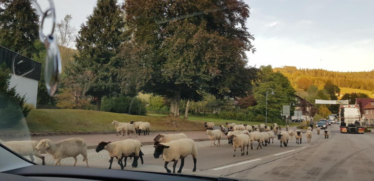 Ferienwohnung Tannenballett Im Schwarzwald Baiersbronn Exteriör bild
