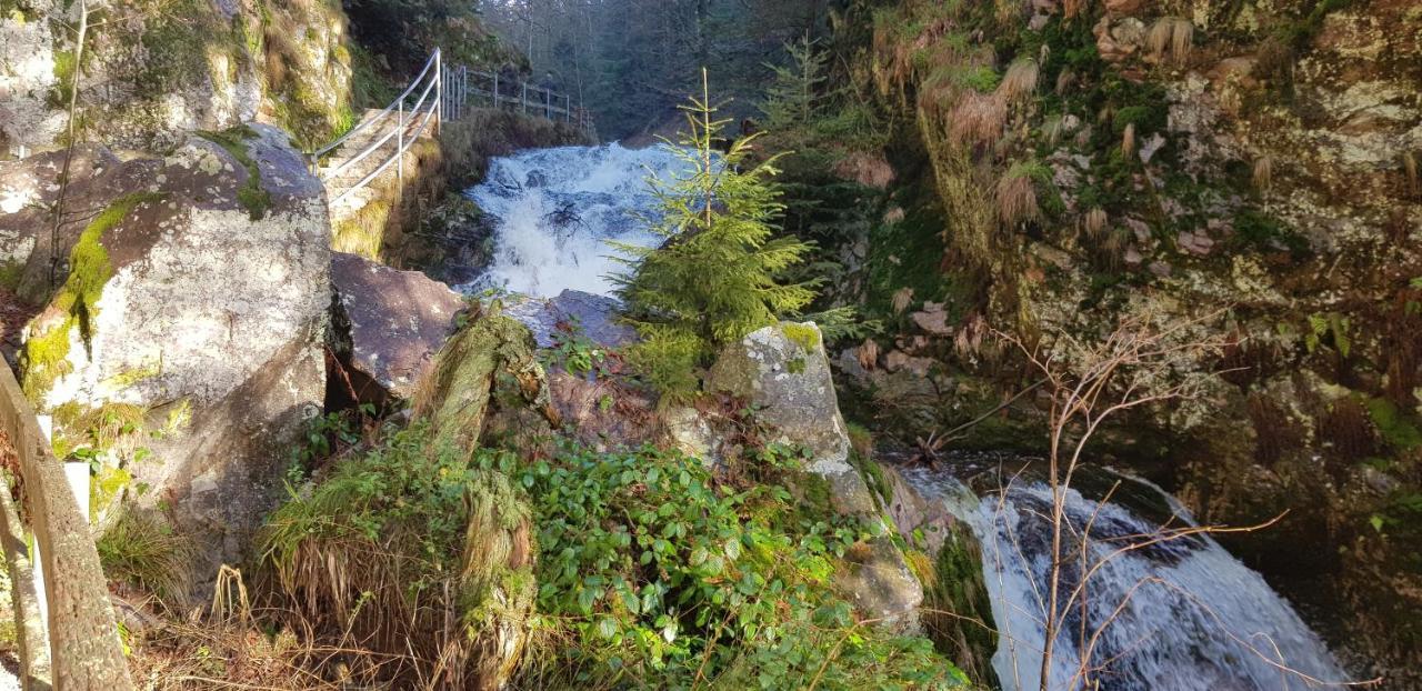 Ferienwohnung Tannenballett Im Schwarzwald Baiersbronn Exteriör bild