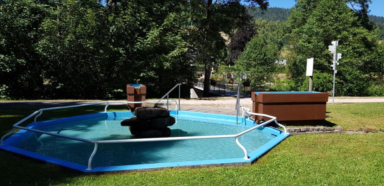 Ferienwohnung Tannenballett Im Schwarzwald Baiersbronn Exteriör bild