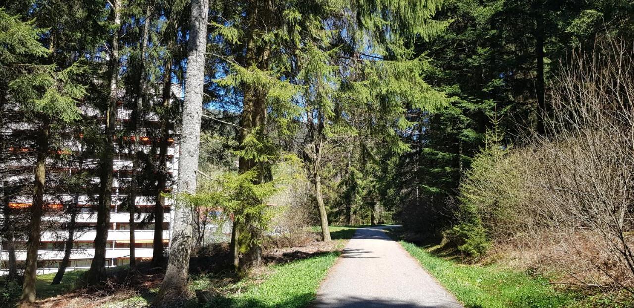 Ferienwohnung Tannenballett Im Schwarzwald Baiersbronn Exteriör bild