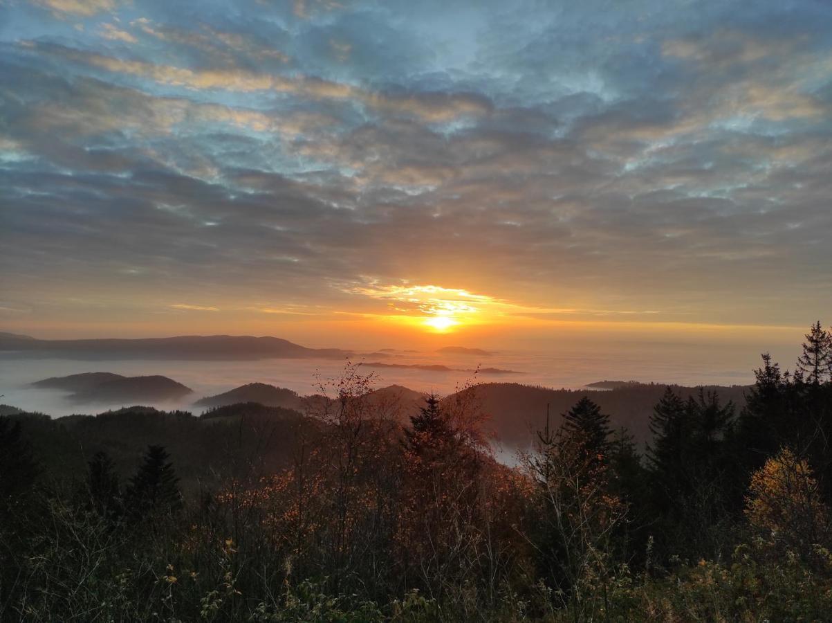 Ferienwohnung Tannenballett Im Schwarzwald Baiersbronn Exteriör bild