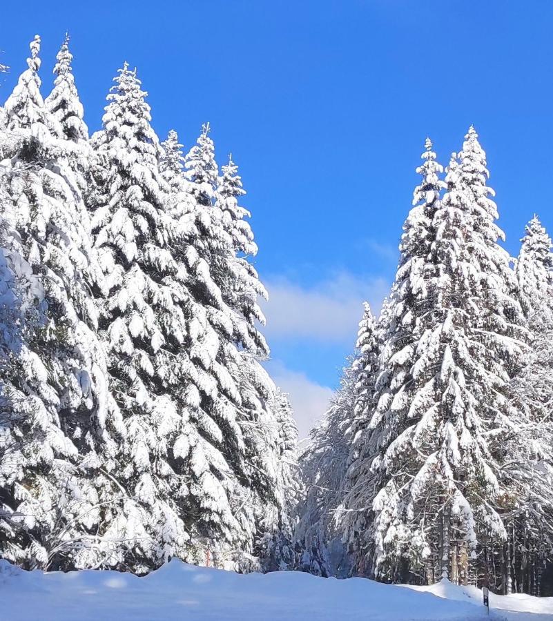 Ferienwohnung Tannenballett Im Schwarzwald Baiersbronn Exteriör bild