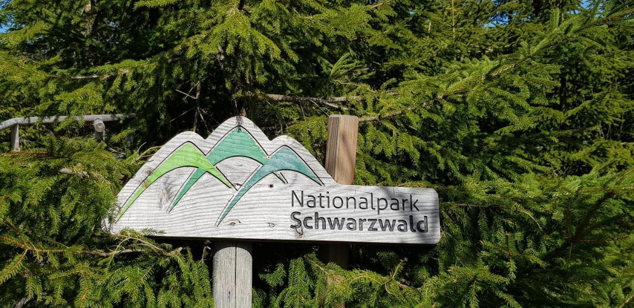 Ferienwohnung Tannenballett Im Schwarzwald Baiersbronn Exteriör bild
