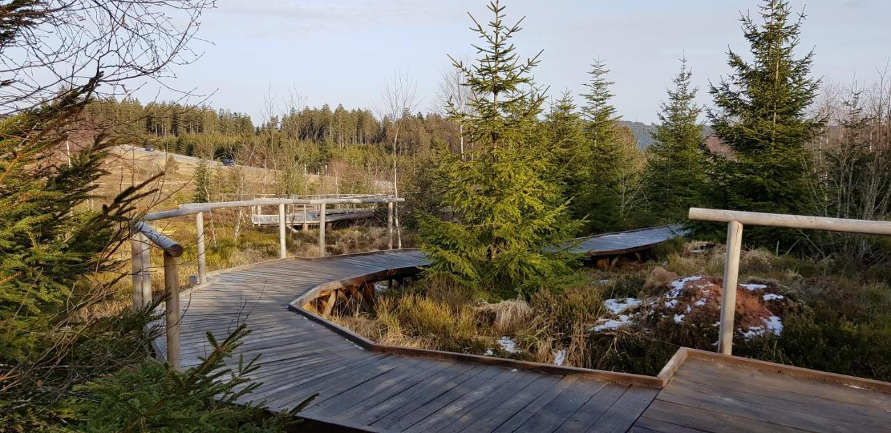 Ferienwohnung Tannenballett Im Schwarzwald Baiersbronn Exteriör bild