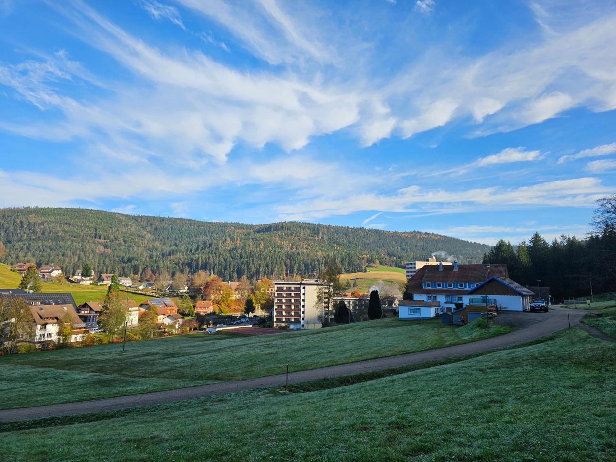 Ferienwohnung Tannenballett Im Schwarzwald Baiersbronn Exteriör bild