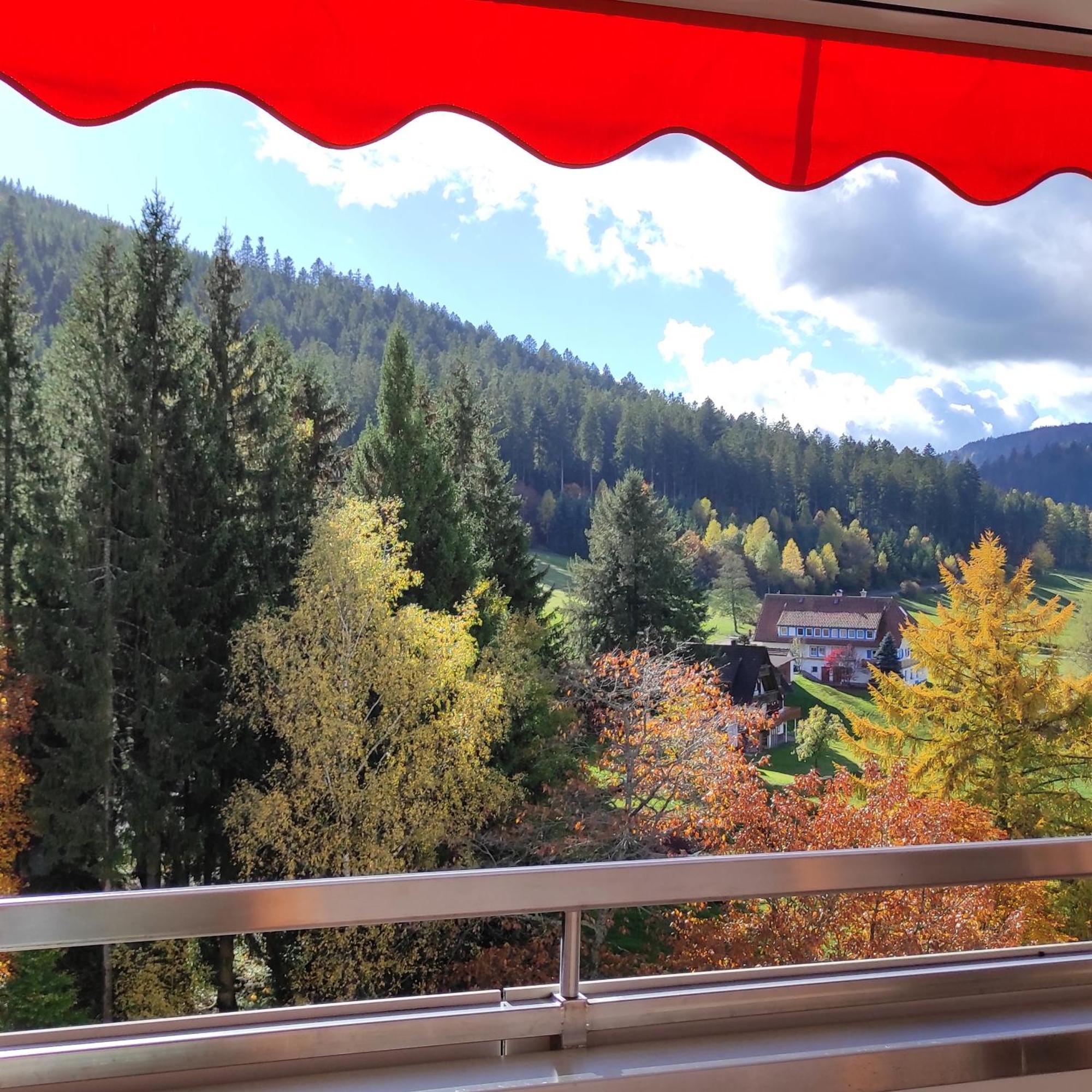 Ferienwohnung Tannenballett Im Schwarzwald Baiersbronn Exteriör bild